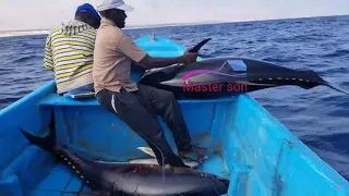 Yellowfin Tuna Fish Catching Skills In Indian Ocean Handline Fish Amazing Fishing Video ( PART 2 )