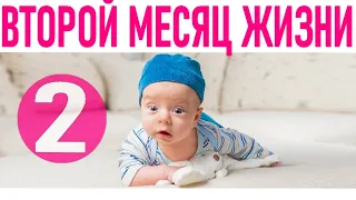РЕБЕНКУ 2 МЕСЯЦА | Как выглядит ребёнок в 2 месяца