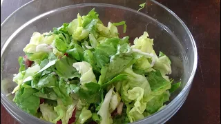 Insalata: come va lavata e condita per farla veramente buona