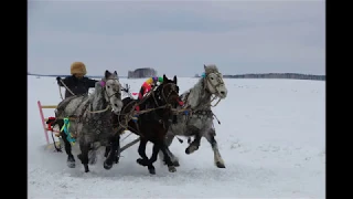 Cлавься,наш,Аларский край!