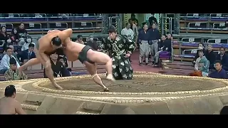 Sumo! Lower 4 Divisions Highlights - Day 15 - Final Day