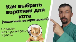 Защитный воротник для кота