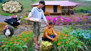 Building a life off the grid episode 88 | Build stone paths, harvest sticky corn