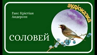 🌿 СОЛОВЕЙ 🐦 Ганс Крістіан Андерсен 🌿 АУДІОКАЗКА  українською - Ukrainian Fairy Tale