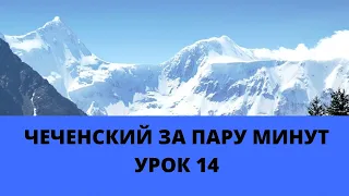 Урок 14 - Юха а хан-заманах лаьцна! Изучение чеченского языка с нуля за несколько дней!