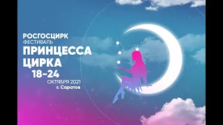 Как в этом году пройдет всероссийский фестиваль «Принцесса цирка»?
