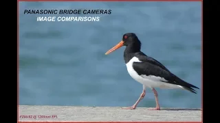 Panasonic Lumix Bridge Camera Image Quality Comparisons