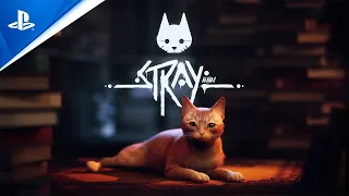 Stray - Trailer