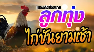 เพลงลูกทุ่งดังฟังสบายไก่ขันยามเช้า #เสียงดี