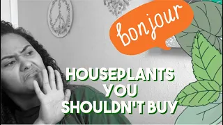 Houseplants I’ll NEVER Buy Again | SPIDER MITE EDITION
