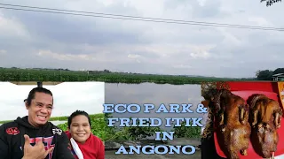 TRAVEL VLOG #2 | MARLONS SPECIAL FRIED ITIK AND ECO PARK IN ANGONO