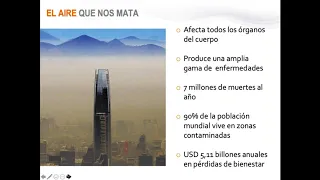 Seminario virtual "Por un aire limpio: Poniendo a raya a la contaminación"