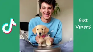 Brent Rivera NEW Tik Tok Videos - Funny Brent Rivera Vines - Best Viners 2021