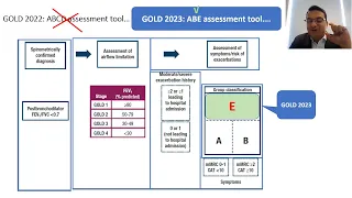 The GOLD 2023 COPD Guidelines What is new in it?