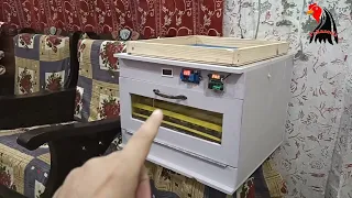 56 Eggs Automatic Incubator In PVC Sheet✓✓ How To Use Incubator Full Easy Information by Pakaseels