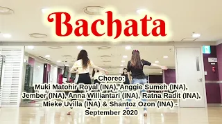 Bachata- Beginner line dance/바차타 초급라인댄스💃