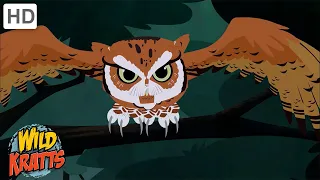 Scary Creatures of the Night | Spooky Nocturnal Creatures [Full Episodes] Wild Kratts