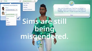 Nonbinary Simmer Reviews Customizable Pronouns in the Sims 4