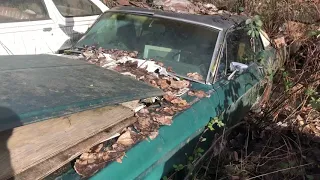 Oregon Barn Finds- Pt.2 Whats in the Barn?