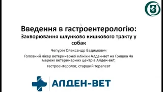 Dog's Breeder expert. Введення в гастроентерологію для заводчиків собак. Олександр Чепурін. 29.04.23