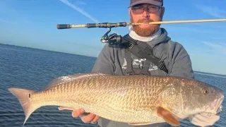 Beautiful Day of fishing in Tampa Bay