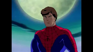 Spider-Man: The Animated Series - Peter Parker x Mary Jane & Felicia Hardy Season 3