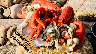 Coastal Foraging / Oysters , Lobsters and Clams / Cook Up On The Beach !