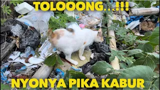 TOLOOOONG NYONYA PIKA KABUR KANGEN JADI GEMBEL LAGI DI JALANAN