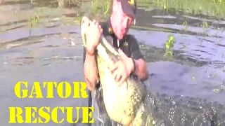 Gator Country's Gator Rescue (Episode 1)