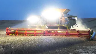 Claas Lexion 780 TT working during the evening to get done with Harvest Season 2021 | JD 8530