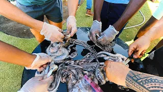 Fish with Friends - Show & Tell - Catch and Cook Spearfishing Hawaii