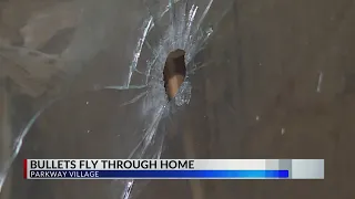 Bullets fly through Parkway Village home