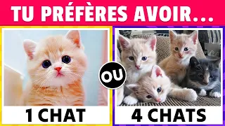 Tu préfères...? Édition CHATS 🐱🐈