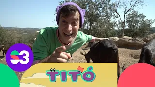Excursió a munyir cabres - Titó