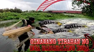 Mahiwagang Ilog Binahayan Ng Mga Mamahaling Isda Sa Buong Mundo