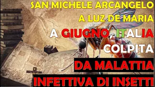 San Michele Arcangelo a Luz De Maria | A Giugno, Italia Colpita da Malattia Infettiva di un Insetto