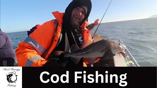 COD Fishing in Whitby | Catching UNICORNS | Winter Boat Fishing | North Sea  | RTF