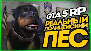 1 День из Жизни Полицейской Собаки (Угар) ● GTA 5 RADMIR