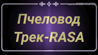 RASA-Пчеловод текст песни