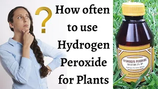 When to use hydrogen peroxide on plants