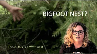 Expedition Bigfoot team finds possible Bigfoot nest