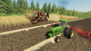 Its harvest day and should we buy more animals | Back in my day 20 | Farming simulator 19