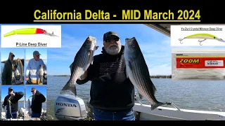 Rio Vista - California Delta Striper Fishing - March 2024