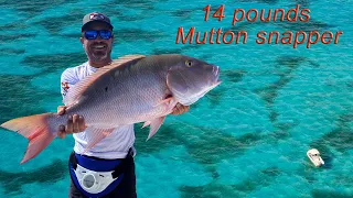 Fishing for Mutton Snapper Yellow Tail I Florida Key Largo