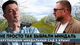 Порошок для мужской силы и сладкий соленый миндаль. Как живет крупнейший сад в Крыму.