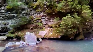 Водоспад Дівочі Сльози Яремче.