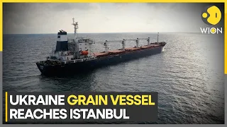 Ship with Ukraine grain back in Turkey under "humanitarian corridor" | Latest World News | WION
