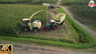 full version Cornharvest 2023 Mulders bv krone big x 850+ easycollect 12 rows+fendt+dronefootage