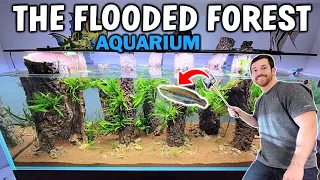 6 Ft. FLOODED FOREST Planted Aquarium Setup - 1 Fish For 167 Gallons!