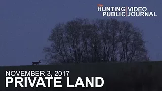 Private Land: November 3 - Hunting Doe Feeding Areas for Cruising Bucks | The Hunting Public